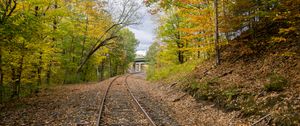 Preview wallpaper rails, road, turn, trees, autumn, landscape