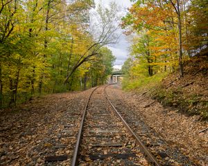 Preview wallpaper rails, road, turn, trees, autumn, landscape