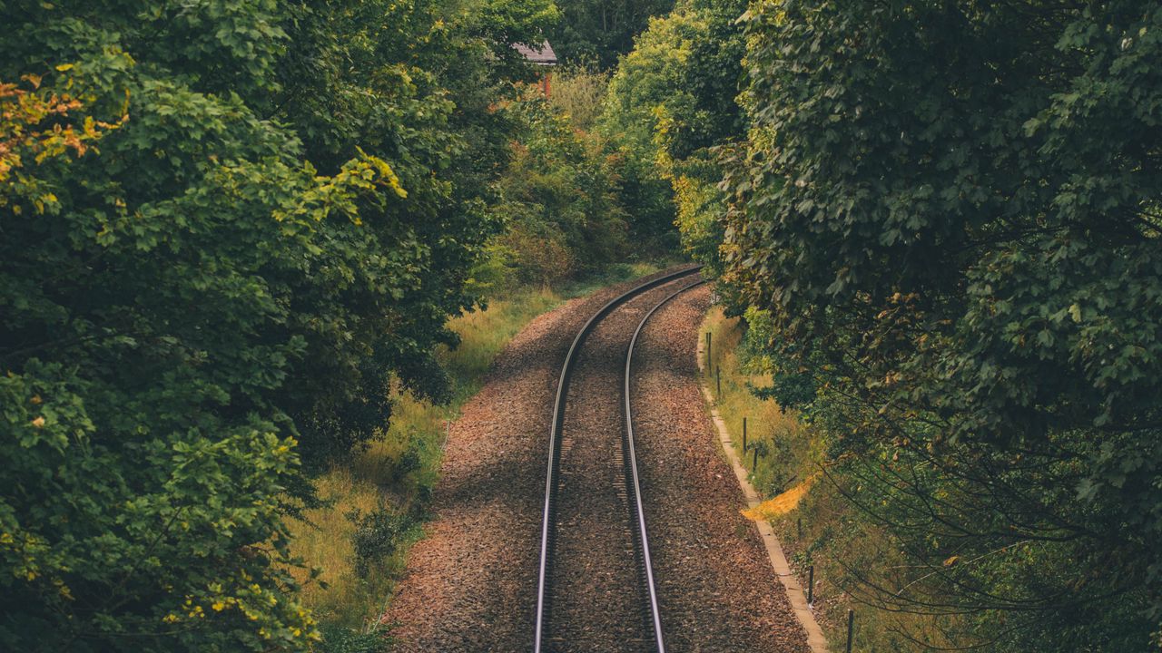 Wallpaper rails, trees, aerial view, nature