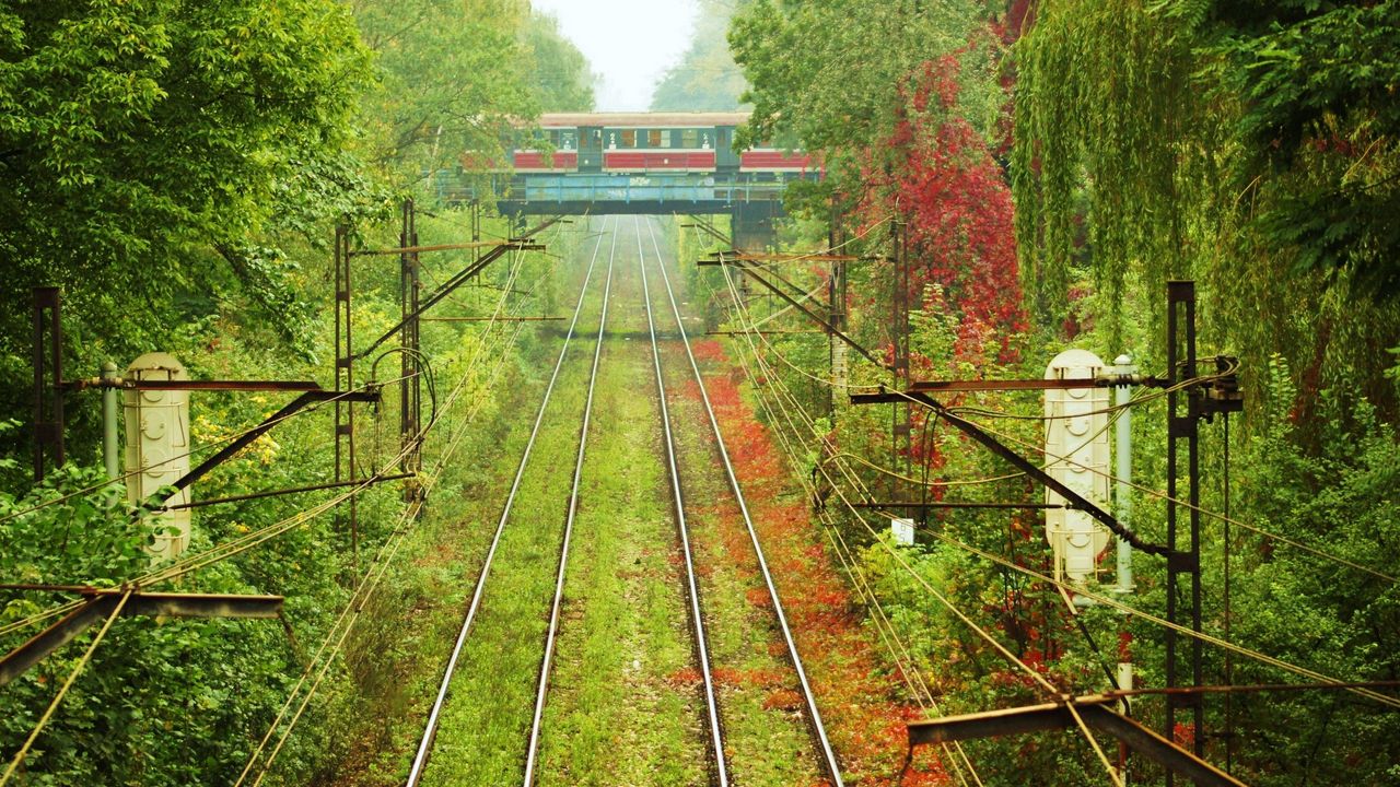 Wallpaper rails, ways, tram, greens, wires, vegetation