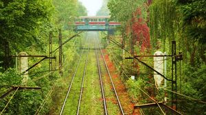 Preview wallpaper rails, ways, tram, greens, wires, vegetation