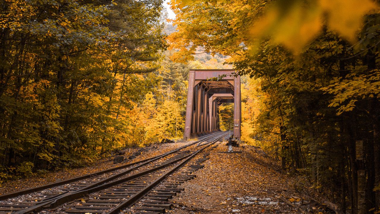 Wallpaper railway, autumn, foliage, trees