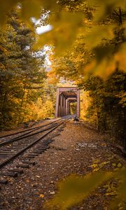 Preview wallpaper railway, autumn, foliage, trees