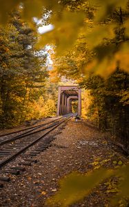 Preview wallpaper railway, autumn, foliage, trees