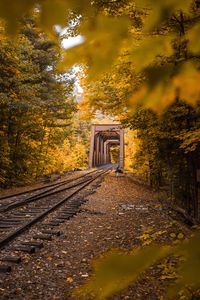 Preview wallpaper railway, autumn, foliage, trees
