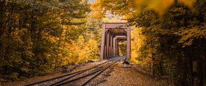 Preview wallpaper railway, autumn, foliage, trees