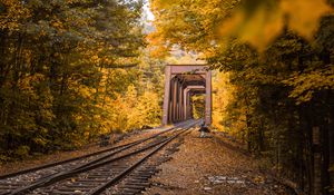 Preview wallpaper railway, autumn, foliage, trees