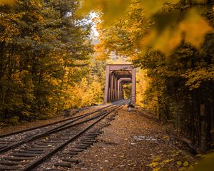 Preview wallpaper railway, autumn, foliage, trees