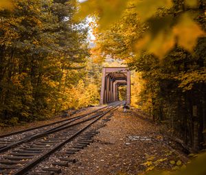 Preview wallpaper railway, autumn, foliage, trees