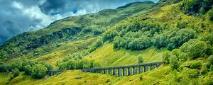 Preview wallpaper railway bridge, grass, trees