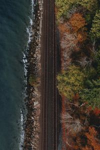 Preview wallpaper railway, coast, aerial view, water, forest