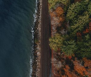 Preview wallpaper railway, coast, aerial view, water, forest