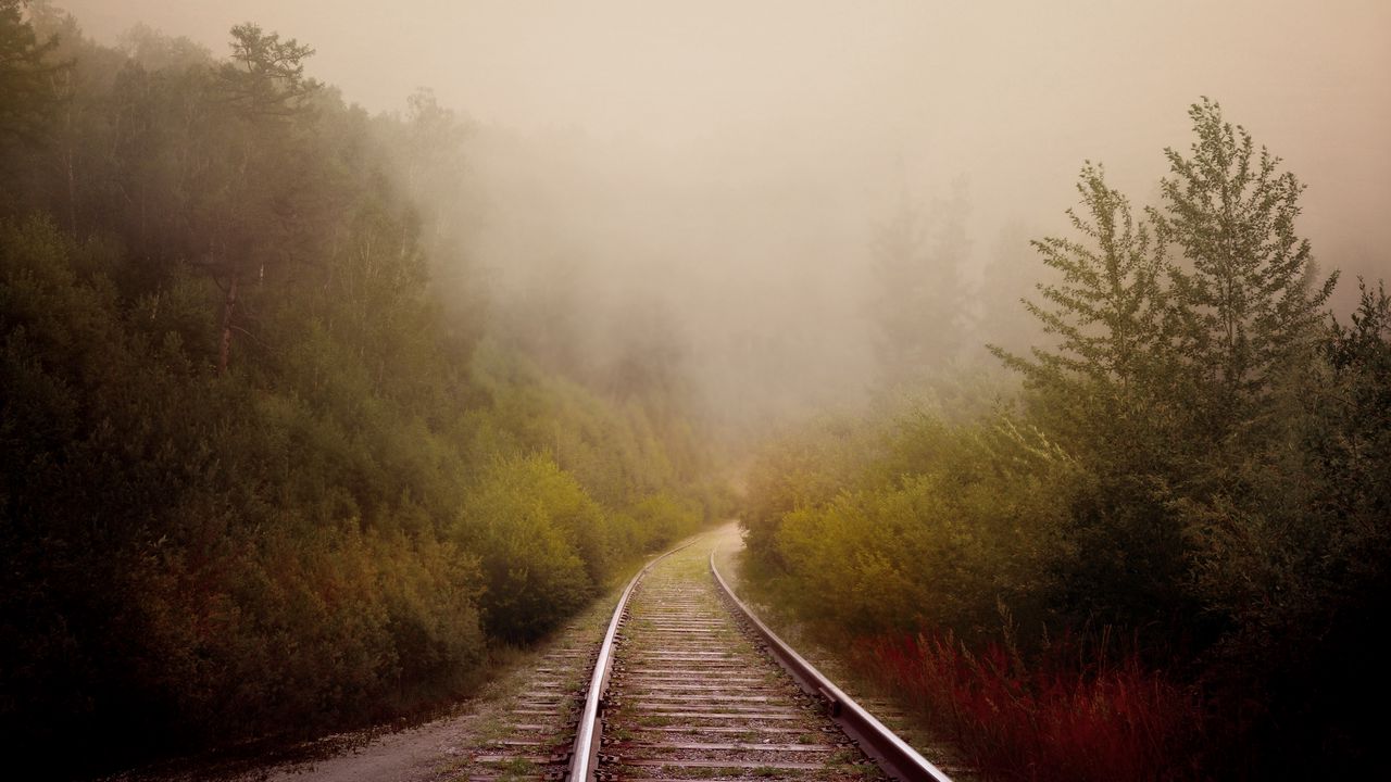 Wallpaper railway, fog, turn, trees