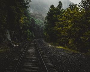 Preview wallpaper railway, forest, trees, connecticut, united states