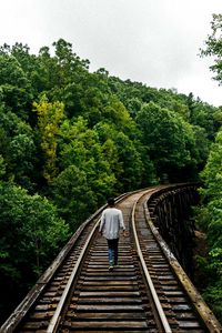 Preview wallpaper railway, man, walk, trees