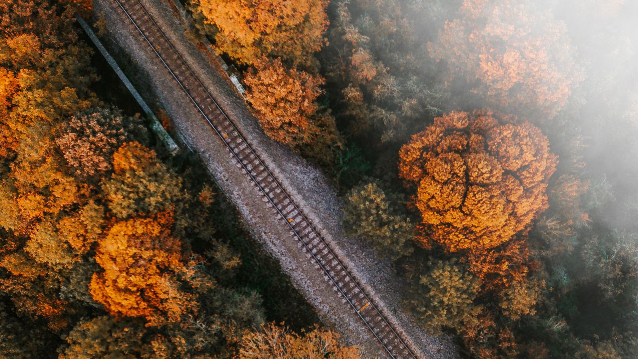 Wallpaper railway, rails, aerial view, trees, treetops