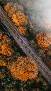 Preview wallpaper railway, rails, aerial view, trees, treetops