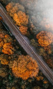 Preview wallpaper railway, rails, aerial view, trees, treetops