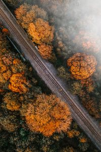 Preview wallpaper railway, rails, aerial view, trees, treetops