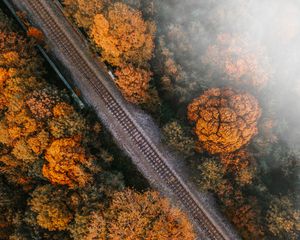 Preview wallpaper railway, rails, aerial view, trees, treetops