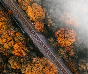 Preview wallpaper railway, rails, aerial view, trees, treetops