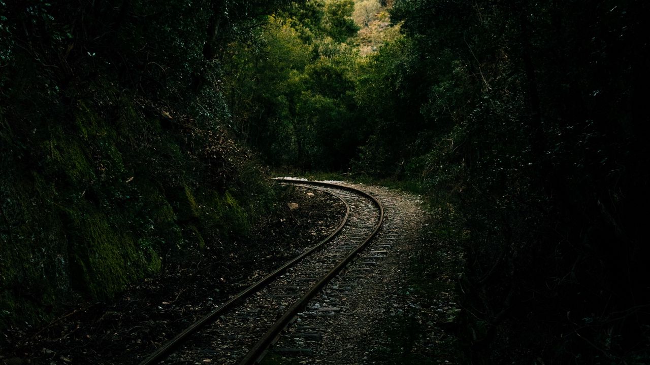 Wallpaper railway, rails, alley, forest