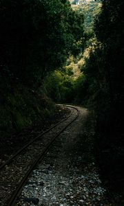 Preview wallpaper railway, rails, alley, forest