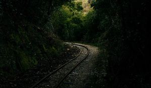 Preview wallpaper railway, rails, alley, forest