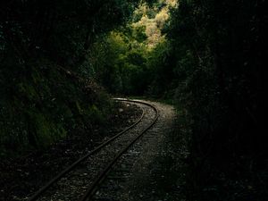 Preview wallpaper railway, rails, alley, forest