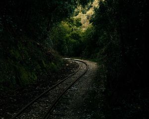 Preview wallpaper railway, rails, alley, forest