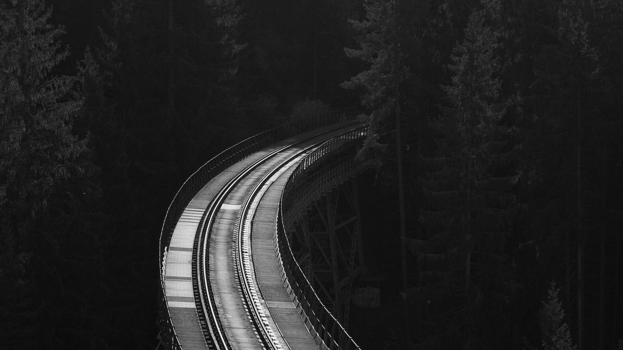 Wallpaper railway, rails, bw, forest, trees