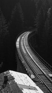 Preview wallpaper railway, rails, bw, forest, trees