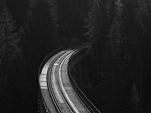 Preview wallpaper railway, rails, bw, forest, trees