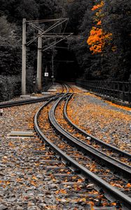 Preview wallpaper railway, rails, fallen leaves, autumn