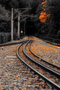 Preview wallpaper railway, rails, fallen leaves, autumn