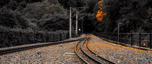 Preview wallpaper railway, rails, fallen leaves, autumn