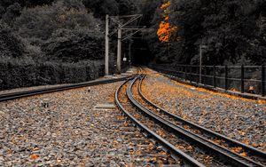 Preview wallpaper railway, rails, fallen leaves, autumn