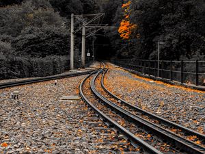 Preview wallpaper railway, rails, fallen leaves, autumn