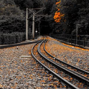 Preview wallpaper railway, rails, fallen leaves, autumn