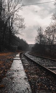 Preview wallpaper railway, rails, forest, cloudy