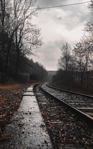 Preview wallpaper railway, rails, forest, cloudy