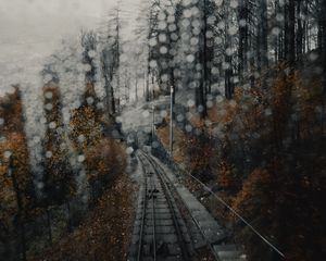 Preview wallpaper railway, rails, glare, fog, forest