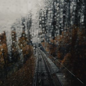 Preview wallpaper railway, rails, glare, fog, forest