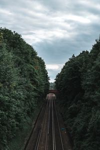 Preview wallpaper railway, rails, trees, tunnel, corridor