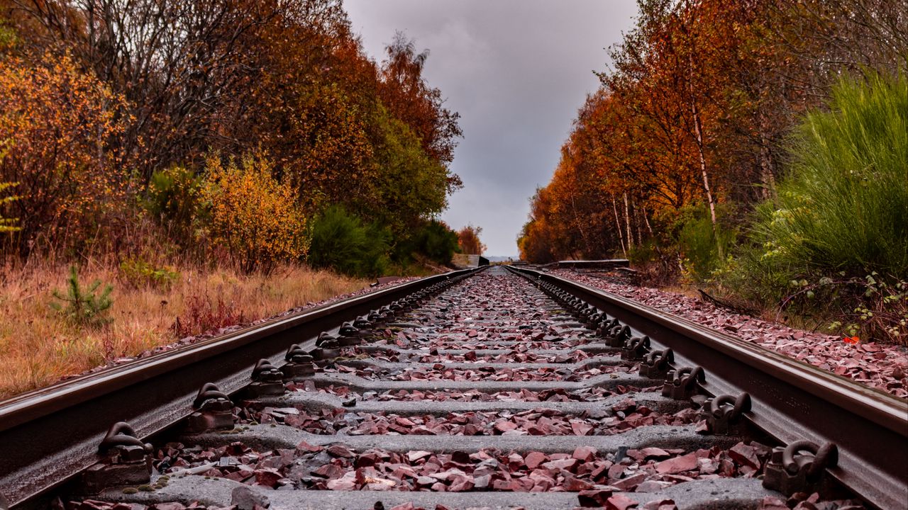 Wallpaper railway, rails, trees, autumn, landscape