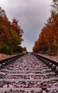 Preview wallpaper railway, rails, trees, autumn, landscape