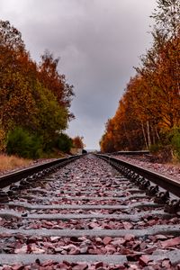 Preview wallpaper railway, rails, trees, autumn, landscape