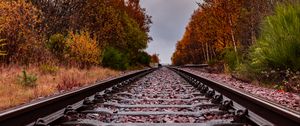 Preview wallpaper railway, rails, trees, autumn, landscape