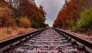 Preview wallpaper railway, rails, trees, autumn, landscape