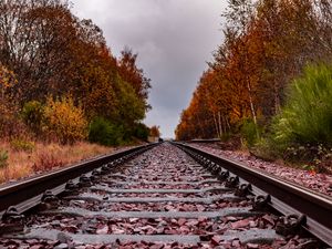 Preview wallpaper railway, rails, trees, autumn, landscape